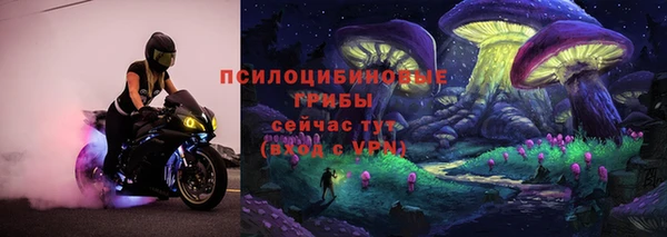 мяу мяу мука Арсеньев