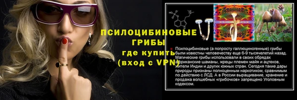 мяу мяу мука Арсеньев