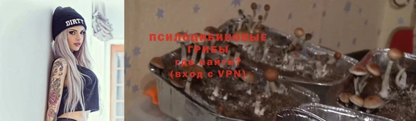 ешки Аркадак