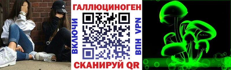 Галлюциногенные грибы Psilocybe  Купить  Жигулёвск 