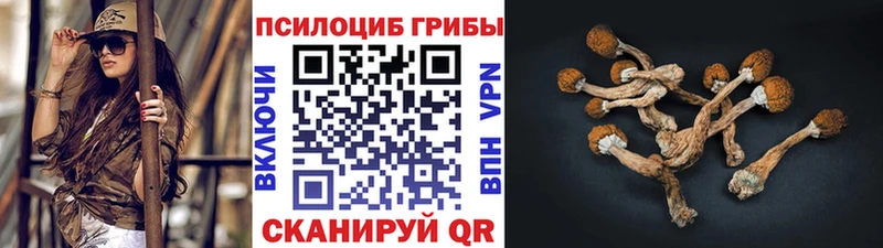 Псилоцибиновые грибы GOLDEN TEACHER Жигулёвск